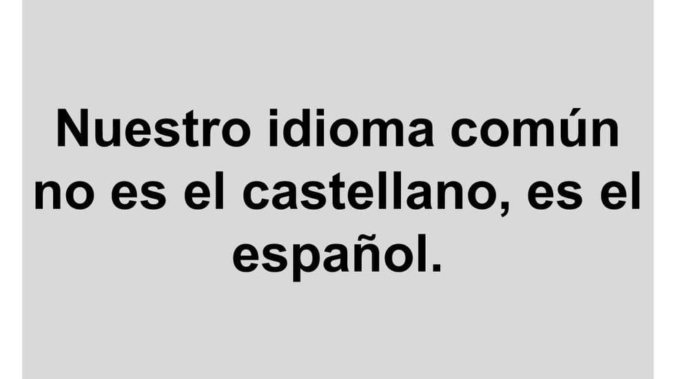 Imagen de la entrada "No es castellano, es español"